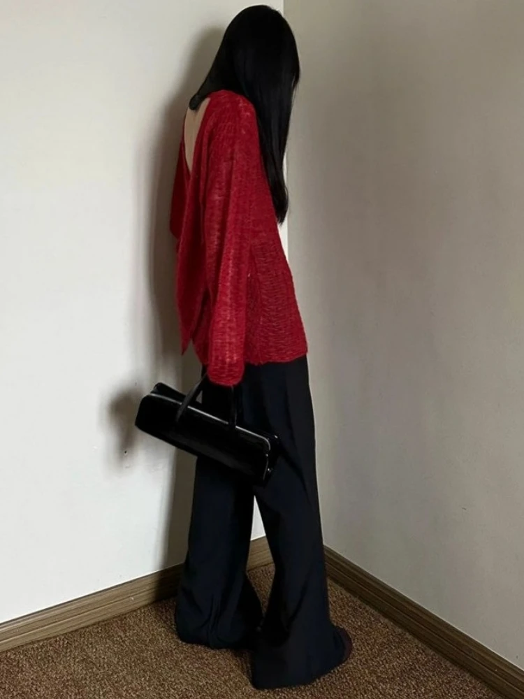 Y2K See-Through Knitted Women' - đánh giá và giá Embroidery Shirt